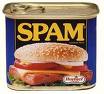 Taste Test: Spam Spam-can